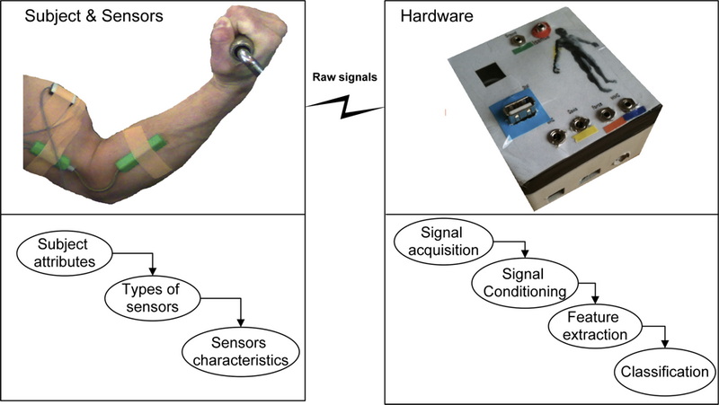 Muscle Activity Monitoring
