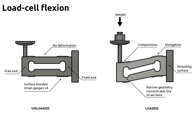 a load cell made of_2
