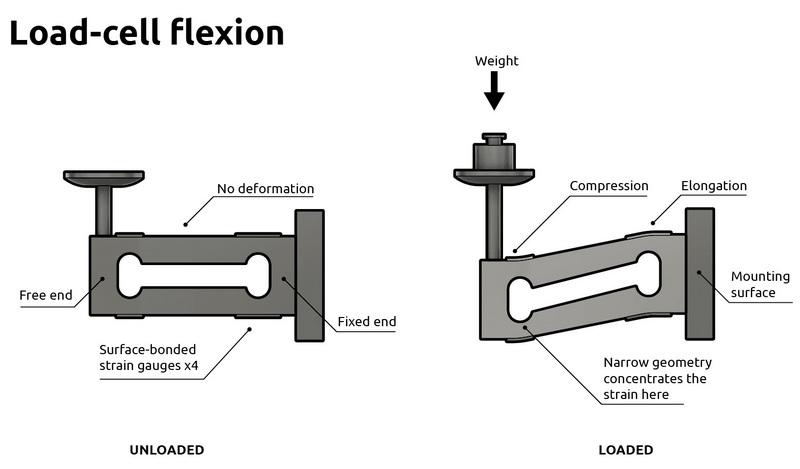 Can Load Cell Plug into DAQ?
