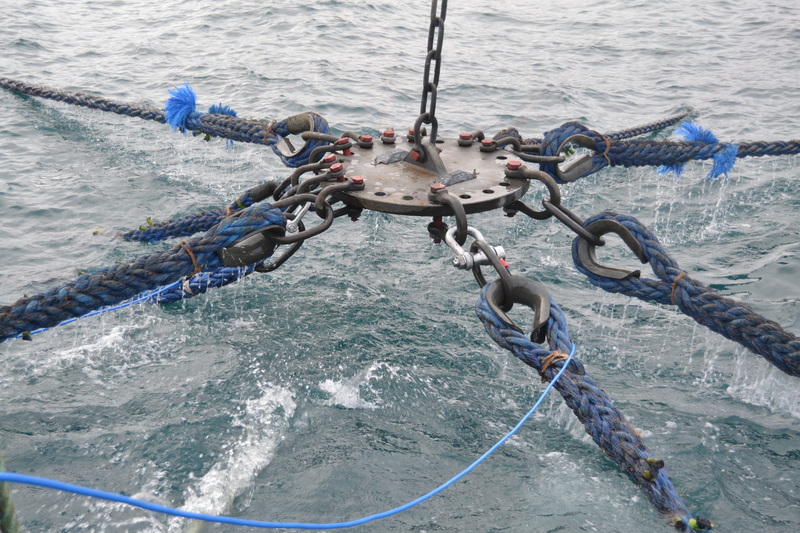 submersible load cell5