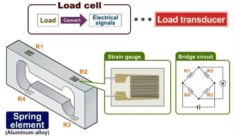 load transducer