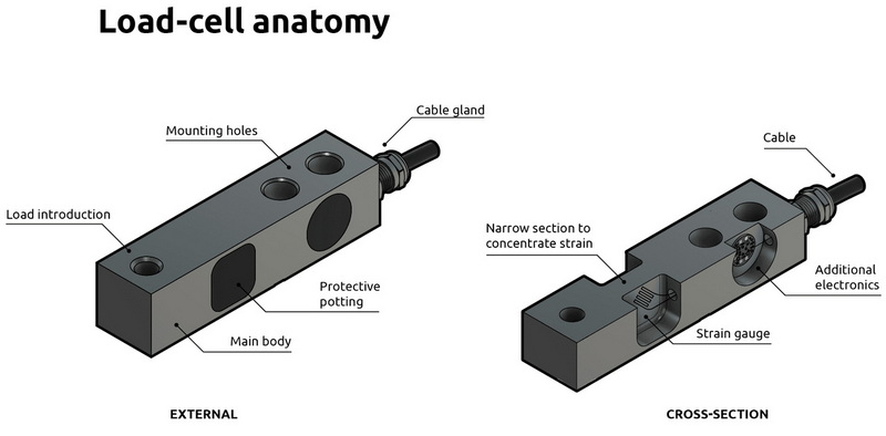 load cell anatomy
