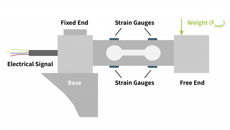 How Does S Beam Load Cell Work?
