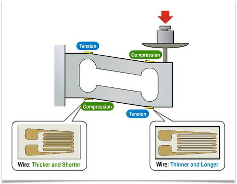 test a scale load cell2