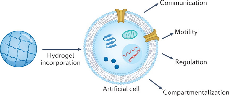 cell crawling hybrid hydrogels tension sensor