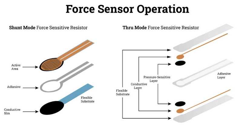 a motion sensor and a force sensor record_2