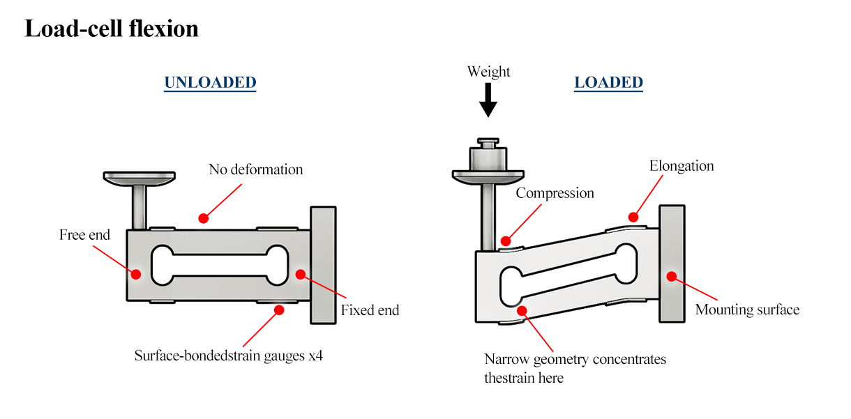 Load cell